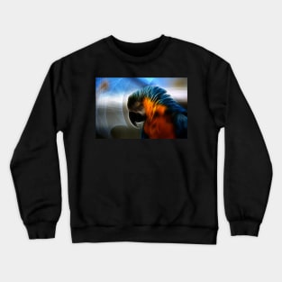 Parakeet, Colourful Crewneck Sweatshirt